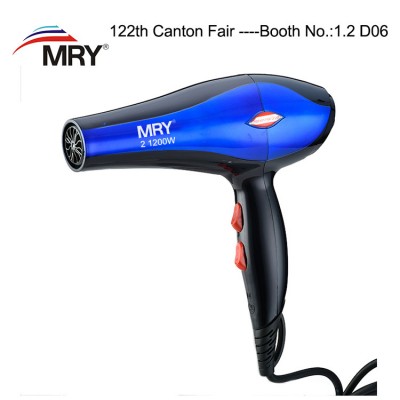 Low MOQ Unique design Popular professional hair dryer