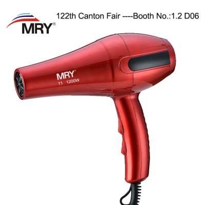 2 Speed/3 Heat Setting Factory wholesale Custom made ionic hair dryer